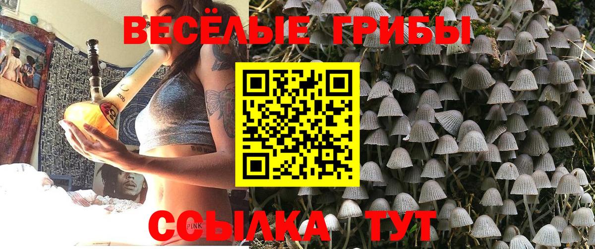 Псилоцибиновые грибы мухоморы  Вход с VPN  Ликино-Дулёво 