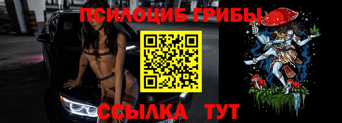 Галлюциногенные грибы Cubensis Ликино-Дулёво